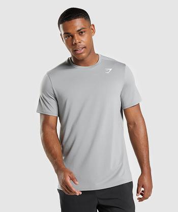 Gymshark Arrival Regular Fit Muške T Shirts Sive | HR 2440AHK